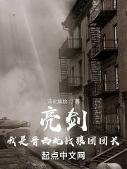 亮剑我是晋西北战狼团团长